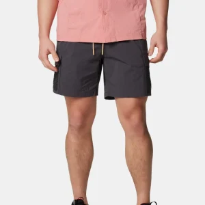 Columbia peint des shorts de pointe (gris de requin)